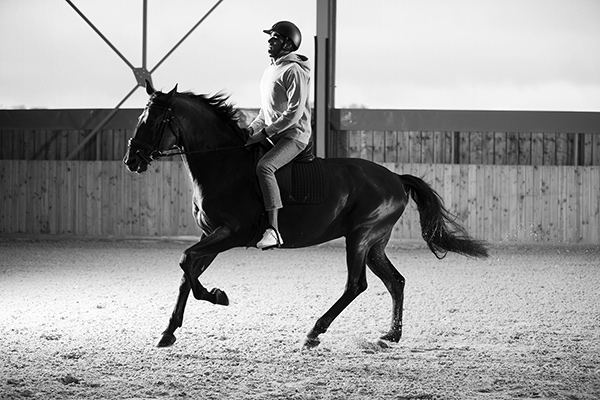 Photo entreprise Christophe Tardy photographe entreprise Lyon Itiz Prod Paolo Singh cheval orbe novo