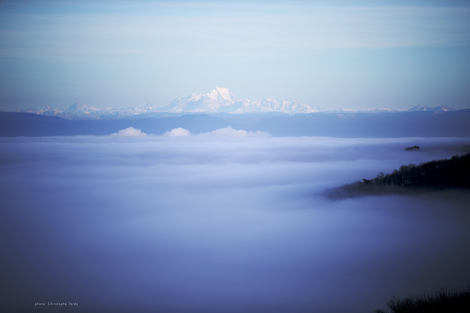 Vue sur les alpes et une mer de Brouillard photo de Christophe Tardy photographe Lyon et Région Auvergne Rhône Alpes