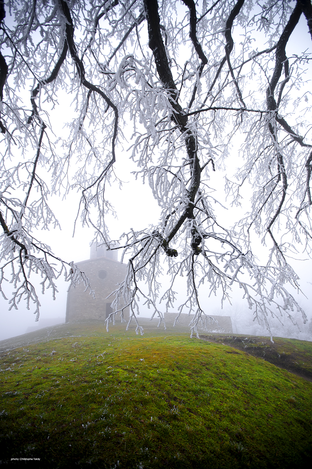 Branches tombantes sur la Chapelle Saint Vincent à Saint Laurent d'Agny photo d'hiver et de givre photo de Christophe Tardy photographe à Lyon et en région Auvergne Rhône Alpes