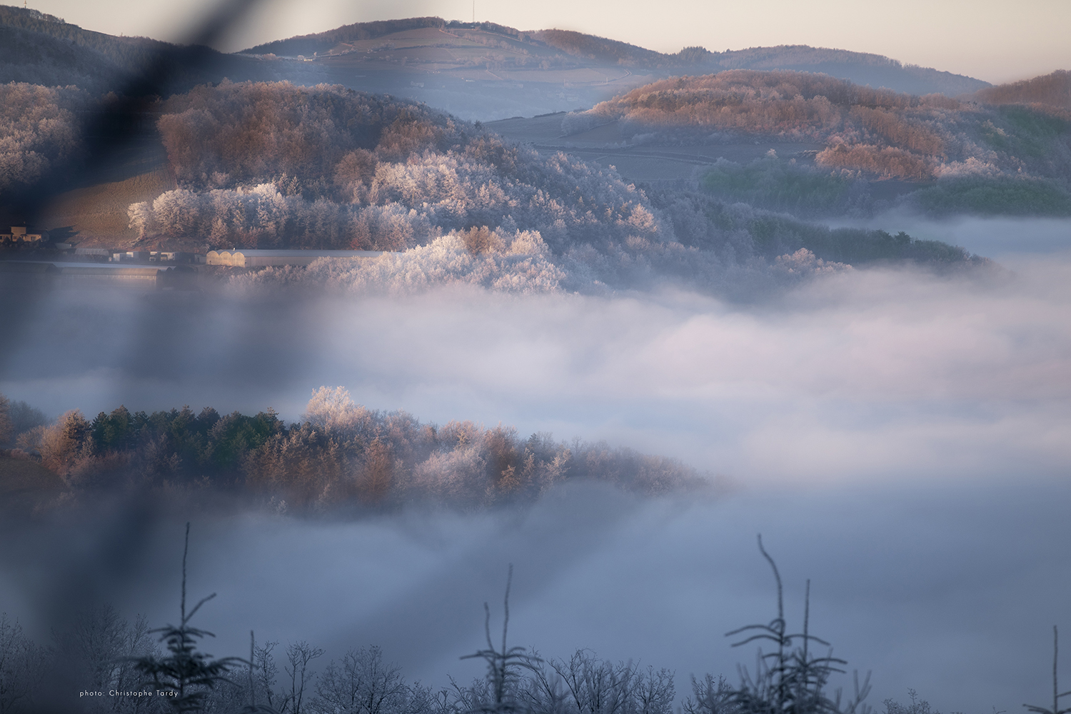 Brouillard des vallées photo Christophe Tardy photographe Lyon et région Auvergne Rhône Alpes